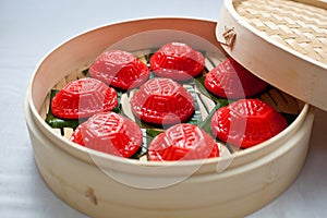 Red tortoise cake, Ã§Â´â¦Ã©Â¾ÅÃ§Â²Â¿, PeÃÂh-ÃÂe-jÃÂ«, Ang Ku Kueh, Kue Ku photo
